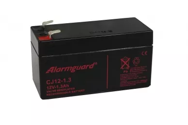Batteria 12V 1.3Ah CJ12-1.3