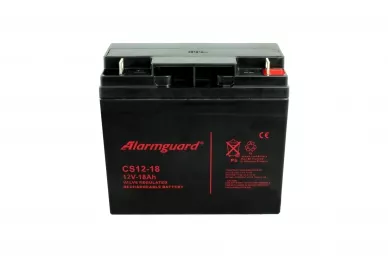 Batteria 12V 18Ah CS12V-18