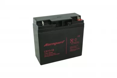 Batteria 12V 18Ah CS12V-18