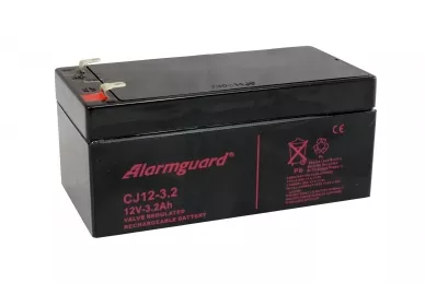 Batteria 12V 3.2Ah CJ12-3.2