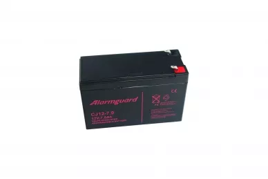 Batteria 12V 7Ah CJ12-7