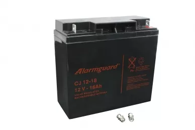 Batterie 12V 18Ah CJ12V-18