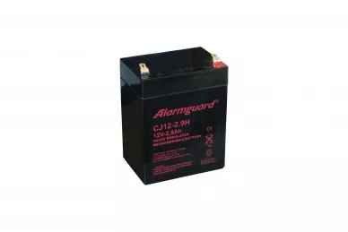 Batterie 12V 2.9Ah CJ12-2.9H