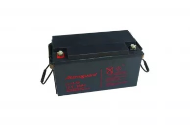 Batterie 12V 65Ah CJ12-65