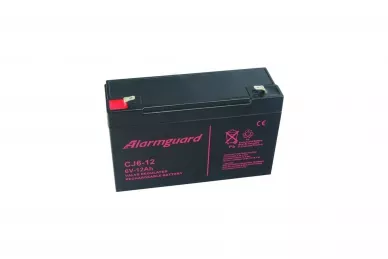Batterie 6V 12Ah CJ6-12