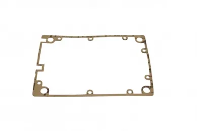 Came 119GF961 New gear motor gasket