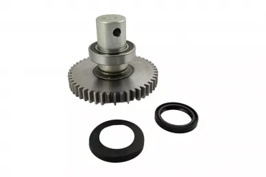 CAME 119RIA015 Slow shaft - frog