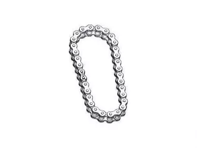 CAME 119RIA036 Transmission chain - fl180