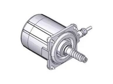 CAME 119RIA061 Frog-a motor assembly