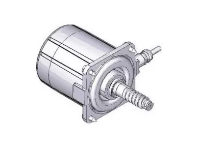 CAME 119RIA062 Fast motor assembly Frog -av