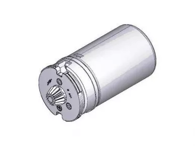CAME 119RIA065 Frog-j myto motor assembly