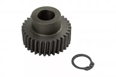 CAME 119RID171 Gearmotor crown - krono
