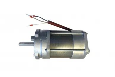 Came 119RID297 AMICO 230V Drive Motor