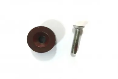 Came 119RID302 Magnes enkodera F7001E 
