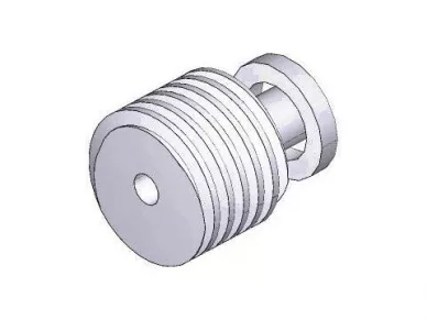 CAME 119RIE149 End screw - e306 e456