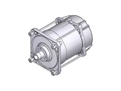 CAME 119RIE151 Motor unit - e306