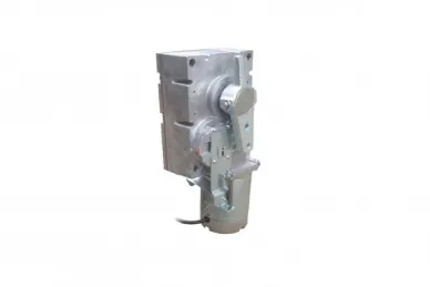 Came 119RIG196 Motoreduktor GARD G2080