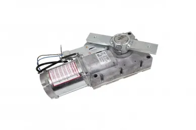 Came 119RIG333 Motoreduktor GARD G4040