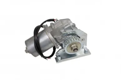 Came 119RIP119 Motoreduktor RODEO