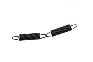 Came 119RIT042 T135 Main Guide Springs (2 pcs.)
