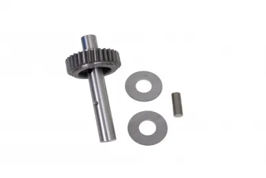 Came 119RIX004 Wormwheel for CAT drive