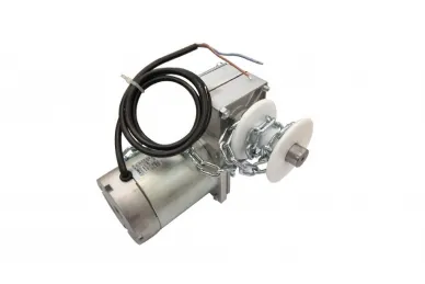 Came 119RIX024 CAT-X24 Gearmotor