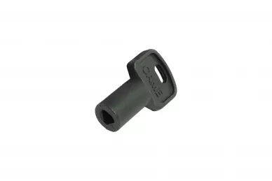 CAME 119RIY077 Release key
