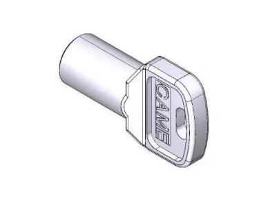CAME 119RIY077 Trilobe release key 10pcs