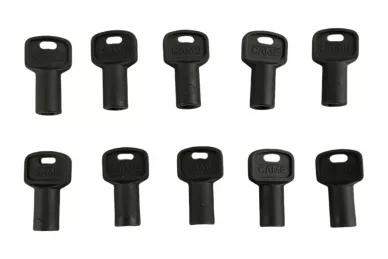 CAME 119RIY077 Trilobe release key 10pcs