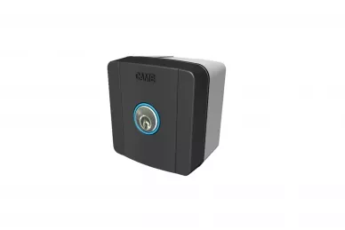 CAME SELC1FDG Surface mounted switch with cylinder lock 24V