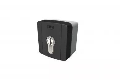 Came SELD1FAG Interrupteur à clé en saillie avec insert DIN 230V