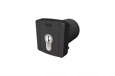 CAME SELD2FAG Flush mounted key switch with DIN insert 230V