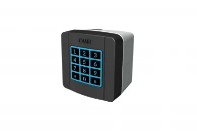Came SELT1BDG Clavier à code en saillie
