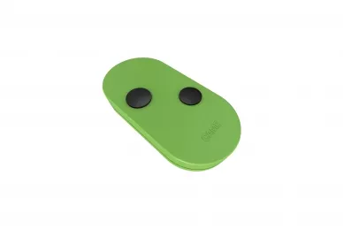 CAME TOPD2FBS 2-channel remote control - green
