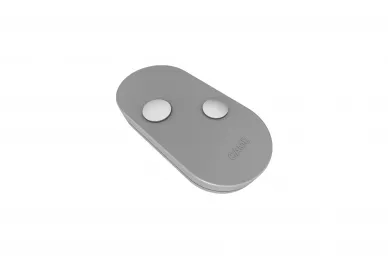 CAME TOPD2RGS 2-channel remote control - gray