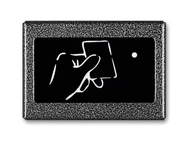 CDN-ACC GR Proximity card and key ring reader