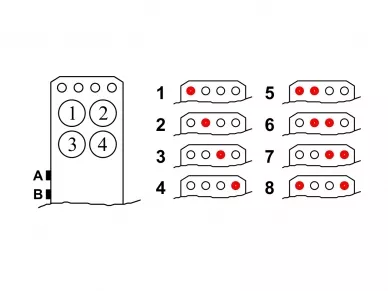 Choice and designation of key groups