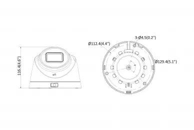 Dimensions: