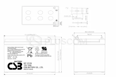 Dimensions: