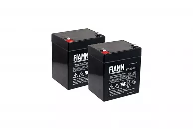 Ditex Roger SET BT12V45 2 batteries (12 V DC, 4.5 Ah)