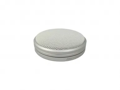 DS-2FP4021-B Microfono a condensatore HikVision
