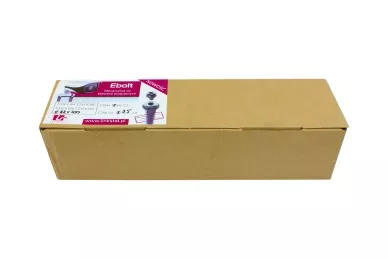 Ebolt 12x300 avec filetage femelle M5 - 25pcs