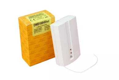 Elmes DWB100HRhet Récepteur à 2 canaux
