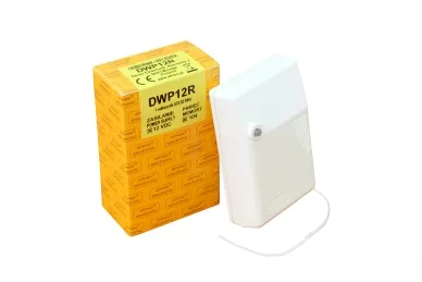 Elmes DWP12R Ricevitore a 2 canali