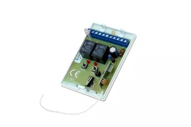 Elmes DWP24R Récepteur à 2 canaux
