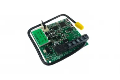 Faac Genius 6100355 ricevitore RC 433 Mhz ECHO a 2 canali