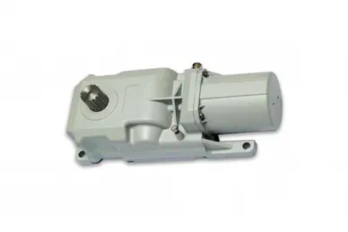 Faac Genius 6170080 ROLLER 24V operatore interrato per cancelli a battente