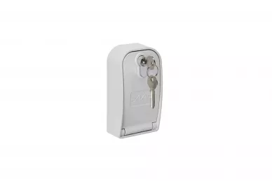 Faac XK30 key switch with release lever