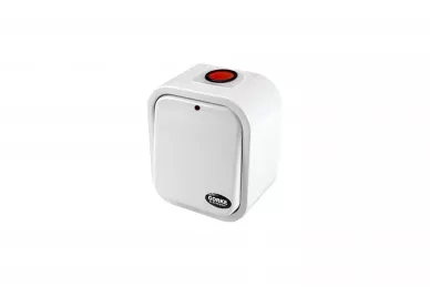 Gorke PNX-202 Trasmettitore radio a 2 pulsanti