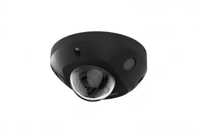 Hikvision  DS-2CD2543G2-IS(2.8mm)(BLACK)